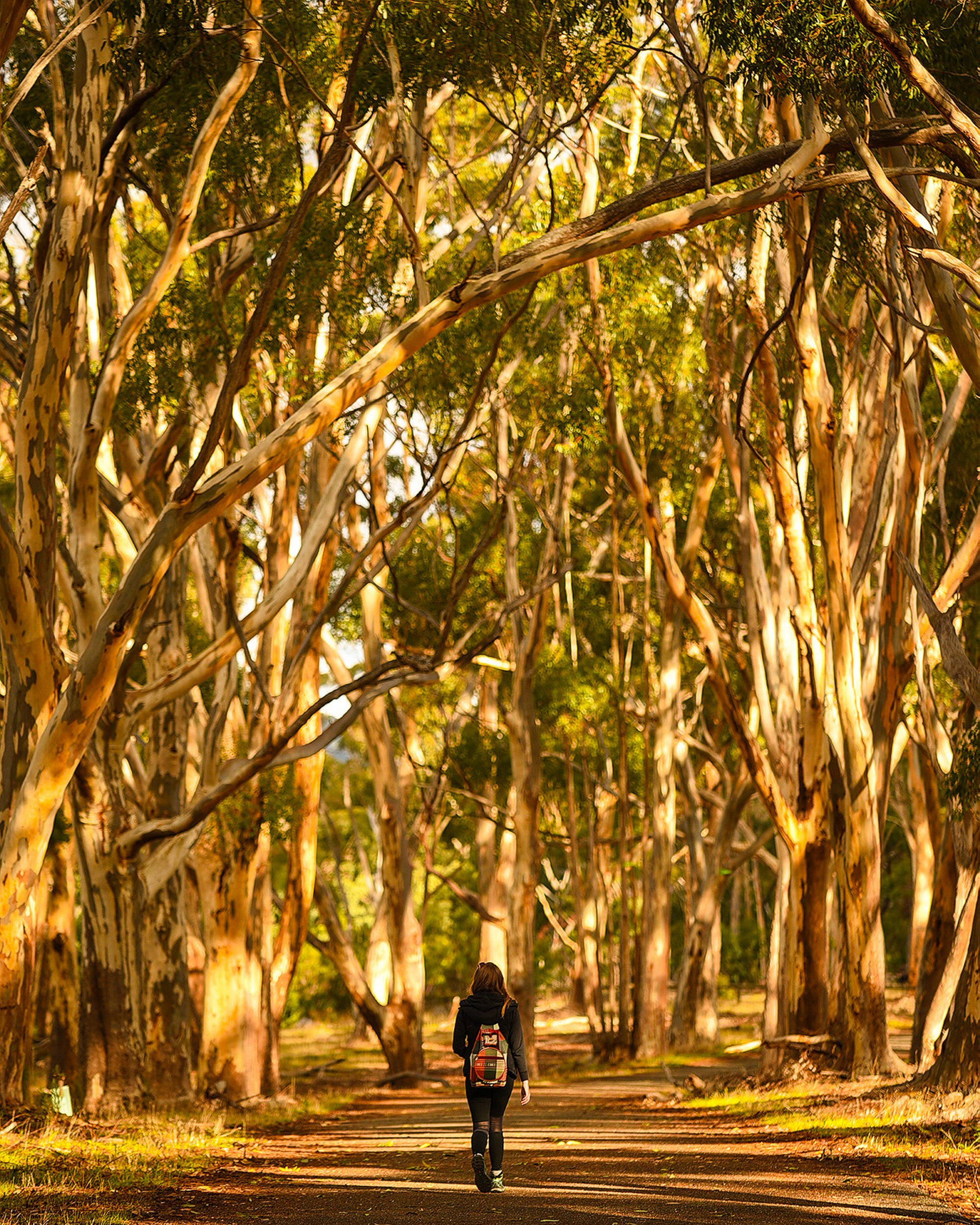 Visit Adelaide Hills I Walking and Hiking | Visit Adelaide Hills