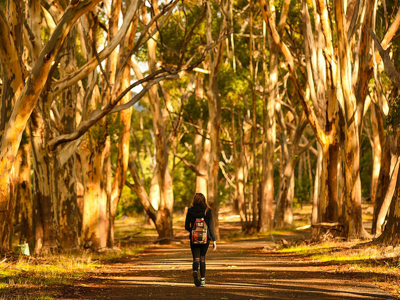 Visit Adelaide Hills I Walking and Hiking | Visit Adelaide Hills