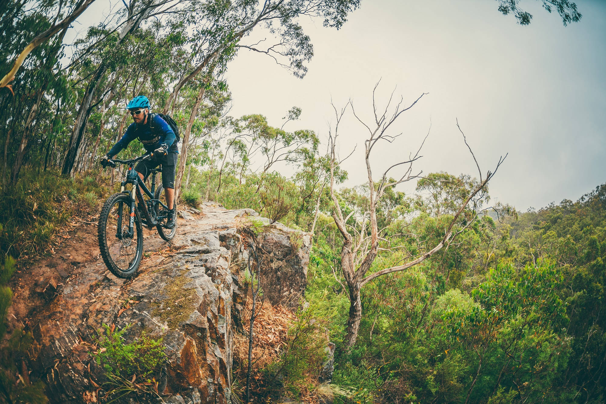 Visit Adelaide Hills I Cycling & Mountain Biking | Visit Adelaide Hills