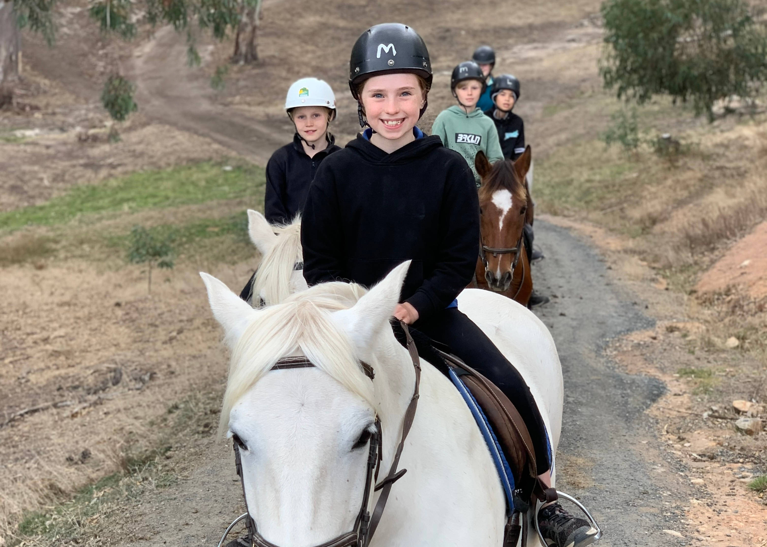 Visit Adelaide Hills I Horse Riding & Trail Rides Visit Adelaide Hills